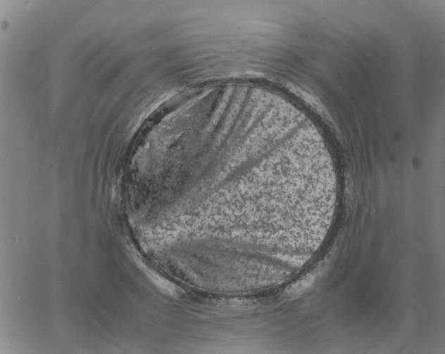 X0000066080881200603311932