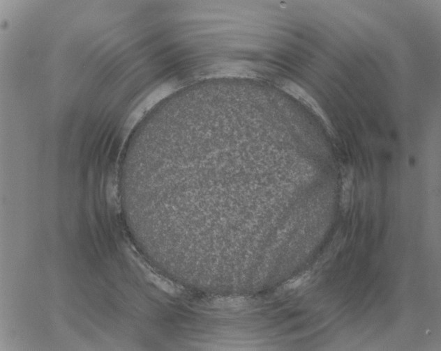 X0000066080882200603311932