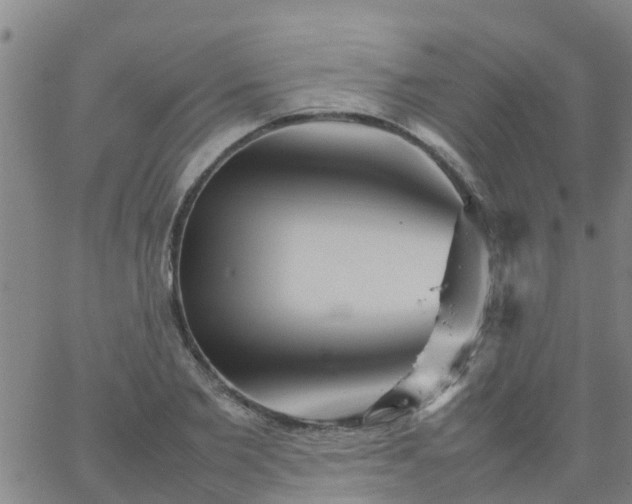 X0000066080885200603311932