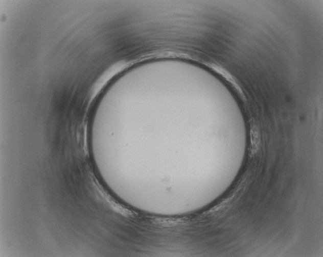 X0000066080886200603311932