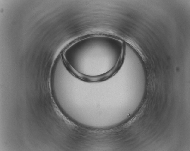 X0000066080888200603311932