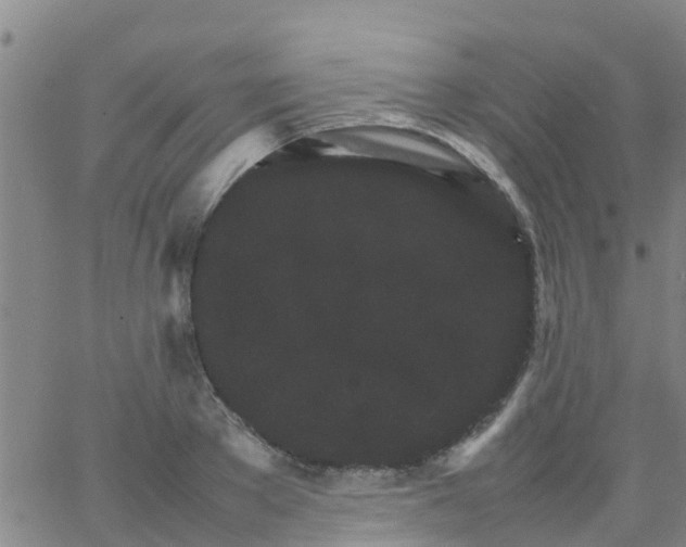 X0000066080889200603311932