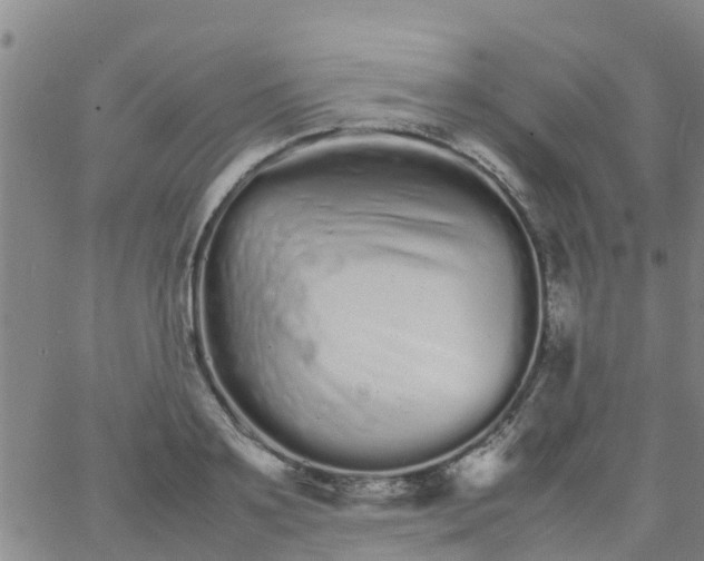 X0000066080891200603311932