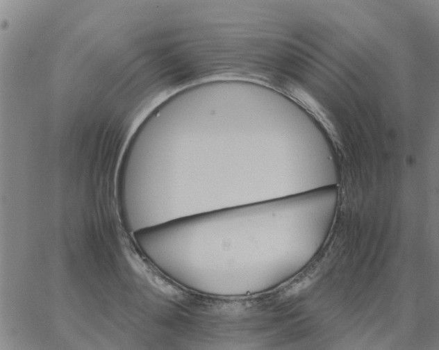 X0000066080892200603311932