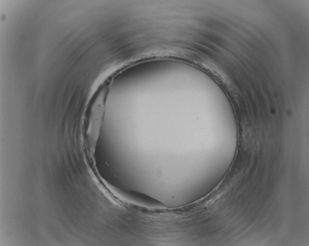 X0000066080894200603311932