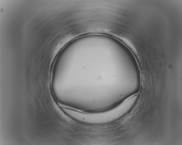 X0000066080895200603311932