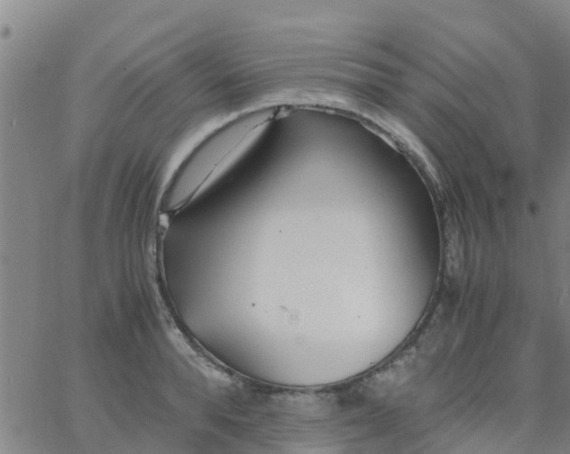 X0000066080896200603311932