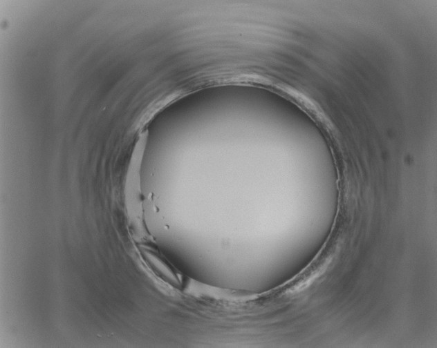 X0000066080897200603311932