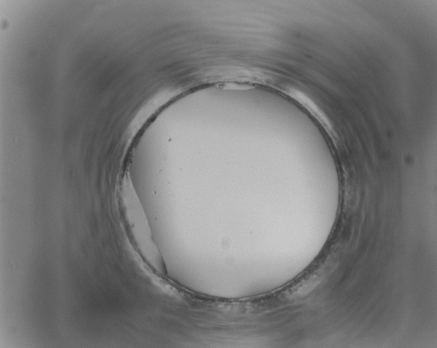 X0000066080901200603311932