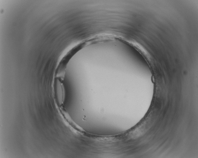 X0000066080902200603311932