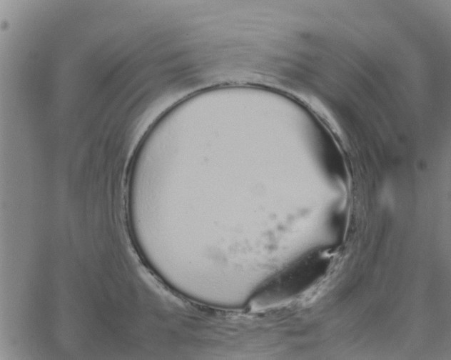 X0000066080903200603311932