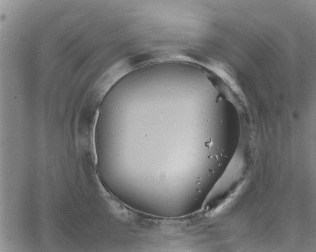 X0000066080905200603311932