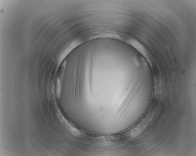 X0000066080906200603311932