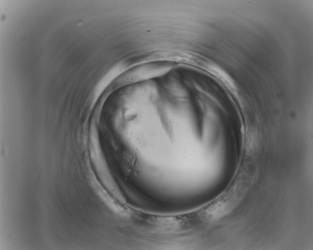 X0000066080907200603311932