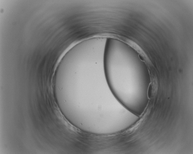 X0000066080908200603311932