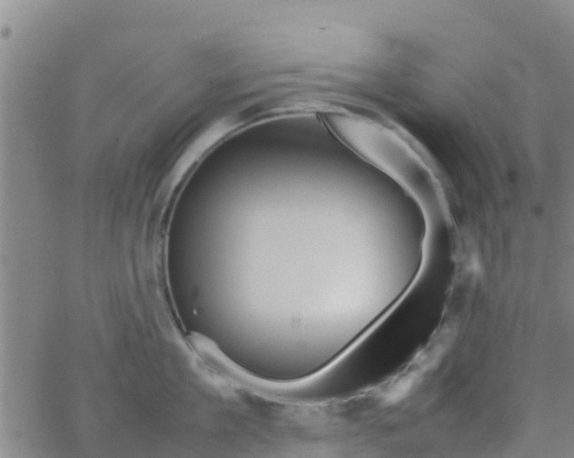 X0000066080909200603311932