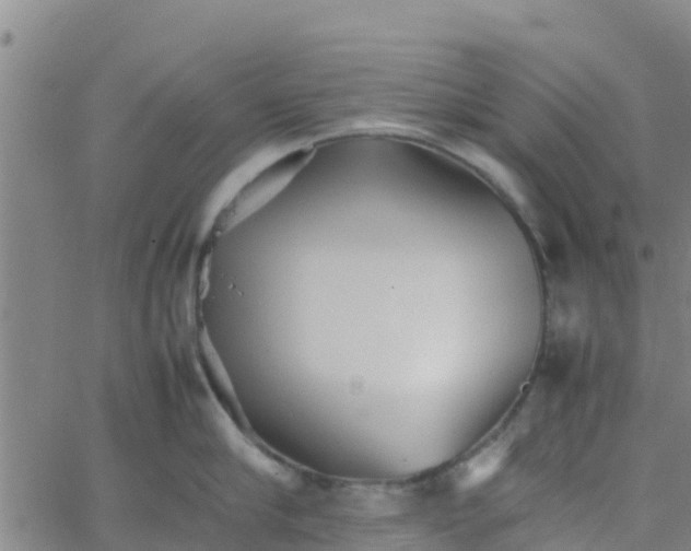 X0000066080910200603311932