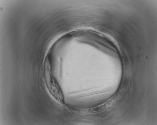 X0000066080911200603311932