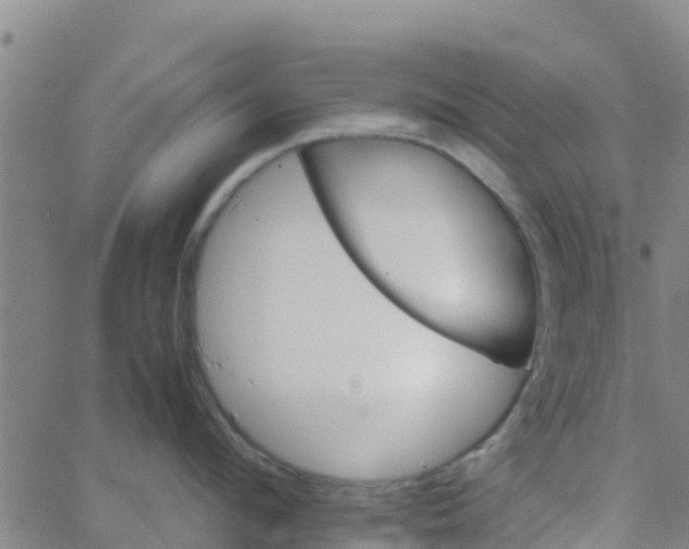 X0000066080912200603311932