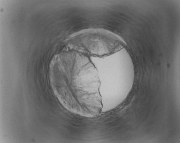 X0000066080913200603311931