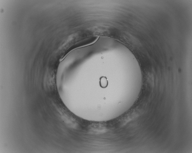 X0000066080914200603311931