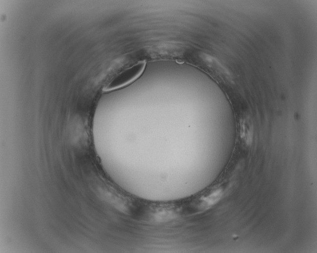 X0000066080915200603311931