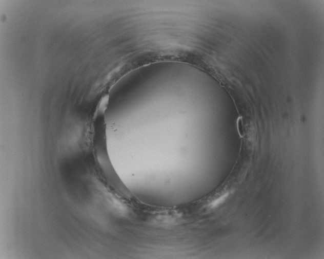 X0000066080916200603311931