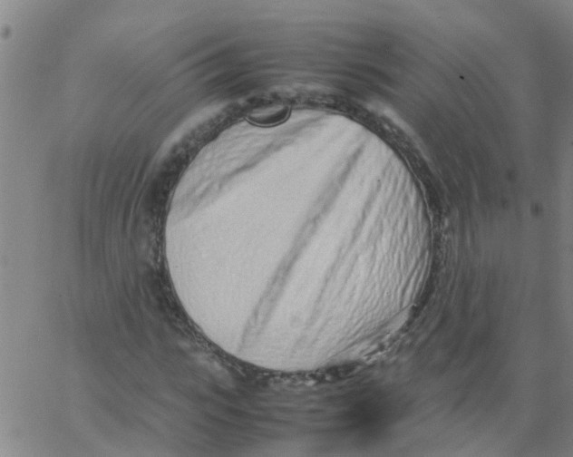 X0000066080919200603311931