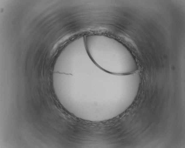 X0000066080920200603311931