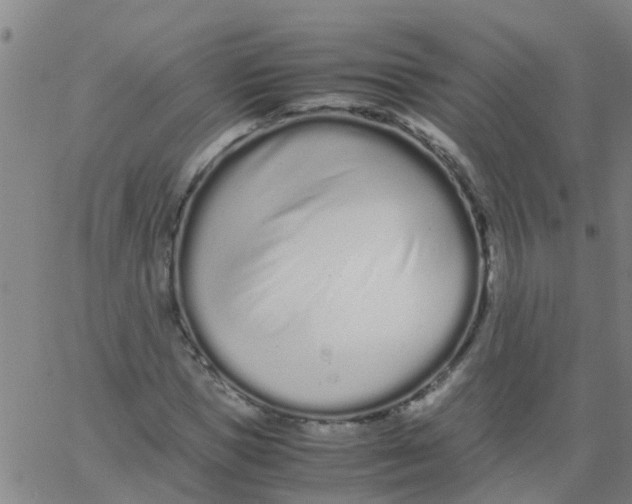 X0000066080921200603311931