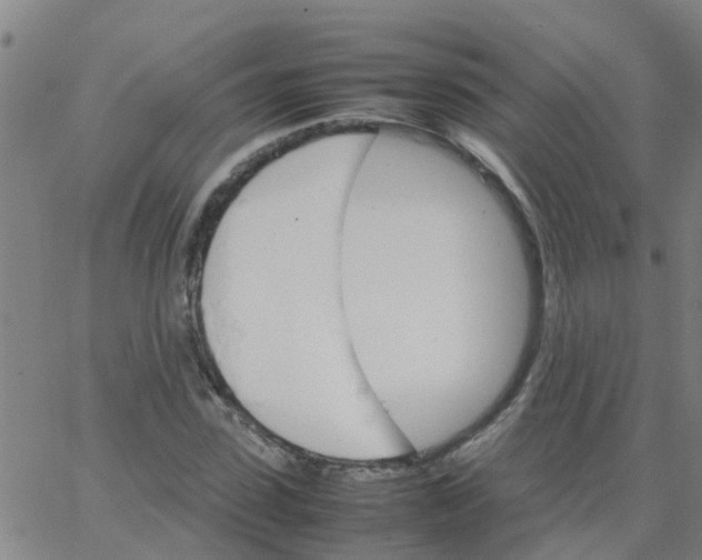 X0000066080923200603311931