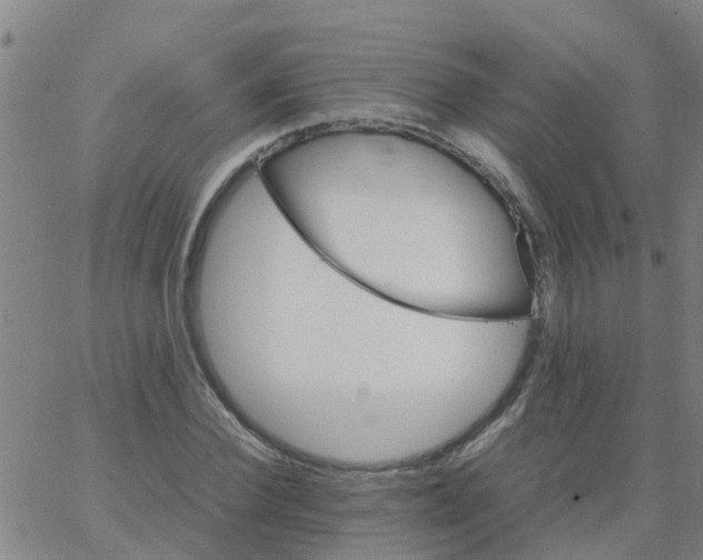 X0000066080924200603311931