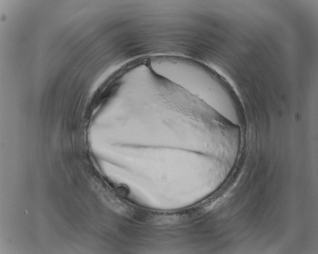 X0000066080925200603311931