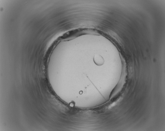 X0000066080926200603311931