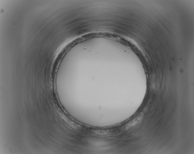 X0000066080927200603311931