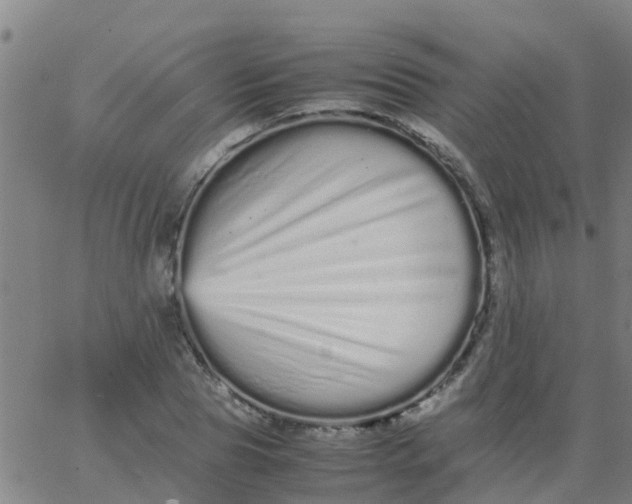 X0000066080929200603311931