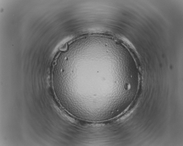 X0000066080930200603311931