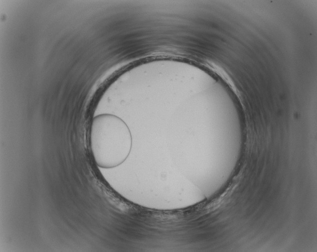 X0000066080931200603311931