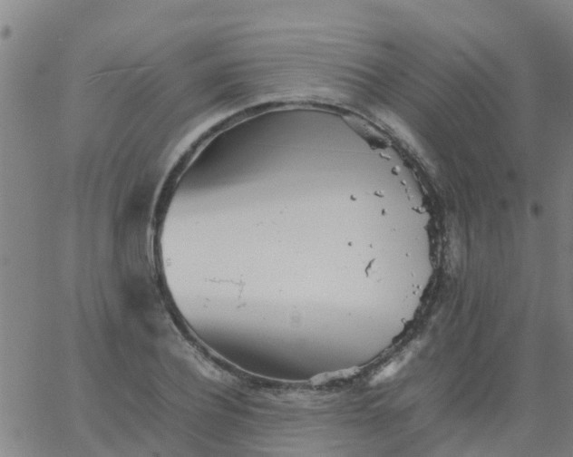 X0000066080932200603311931