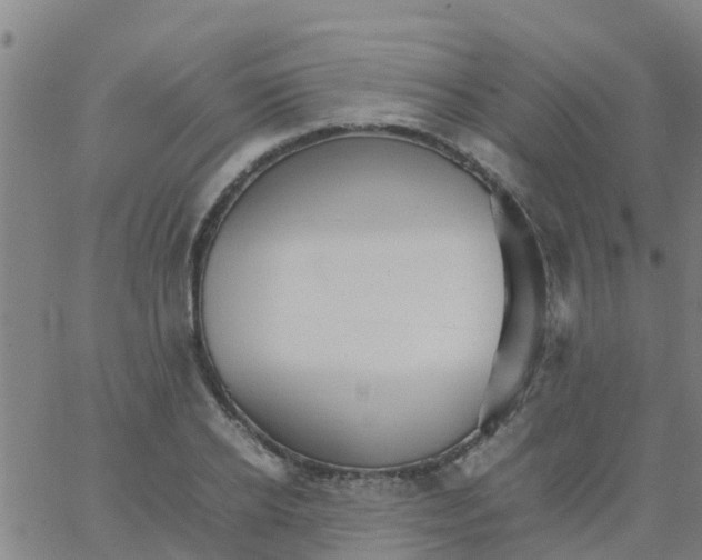 X0000066080934200603311931