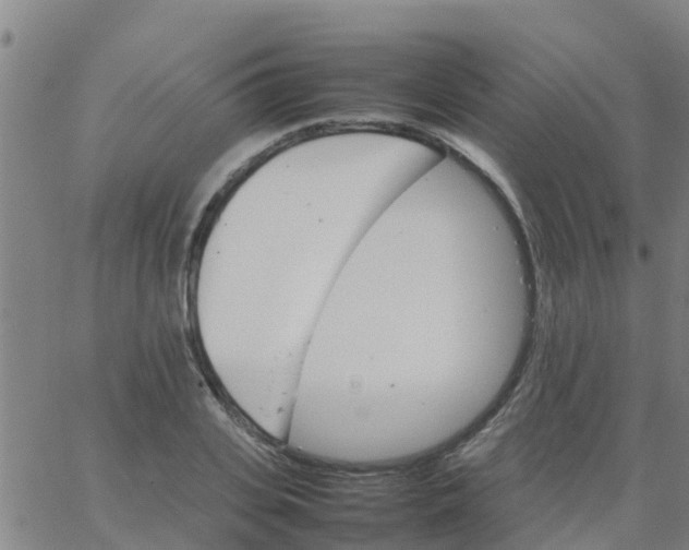 X0000066080935200603311931