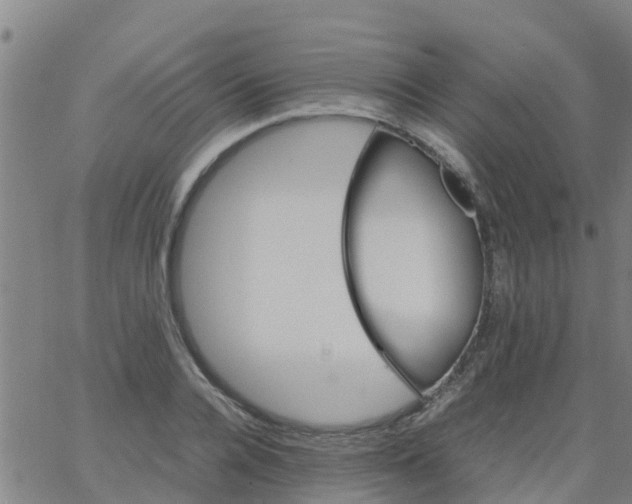 X0000066080936200603311931