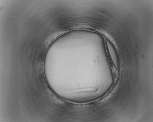 X0000066080937200603311931