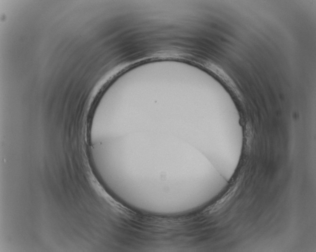 X0000066080939200603311932