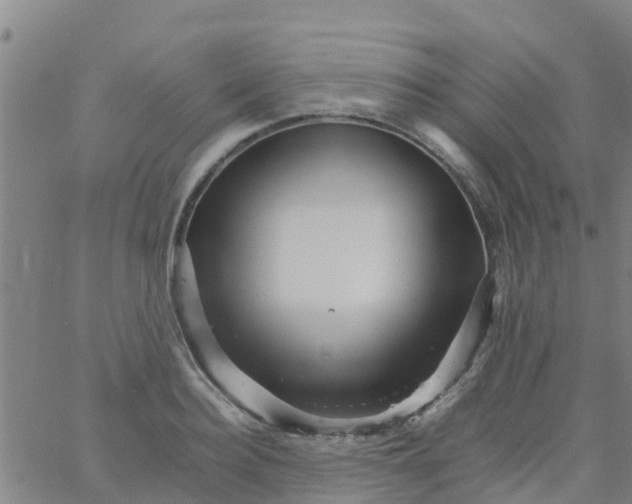 X0000066080940200603311932