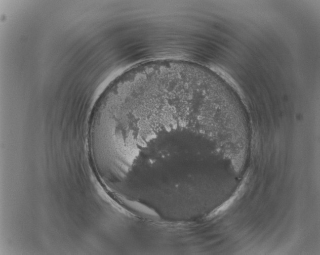 X0000066080941200603311932