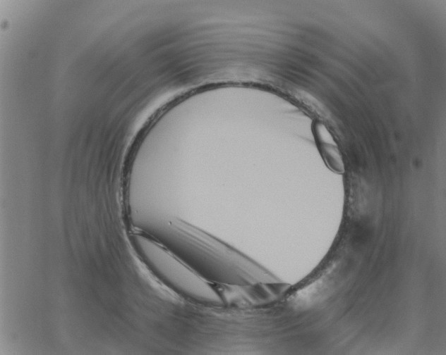 X0000066080942200603311932