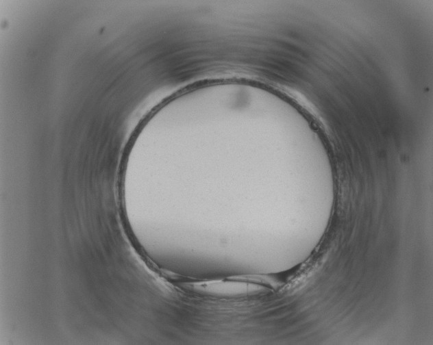 X0000066080943200603311932