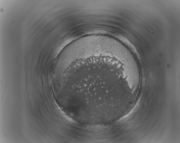 X0000066080945200603311932