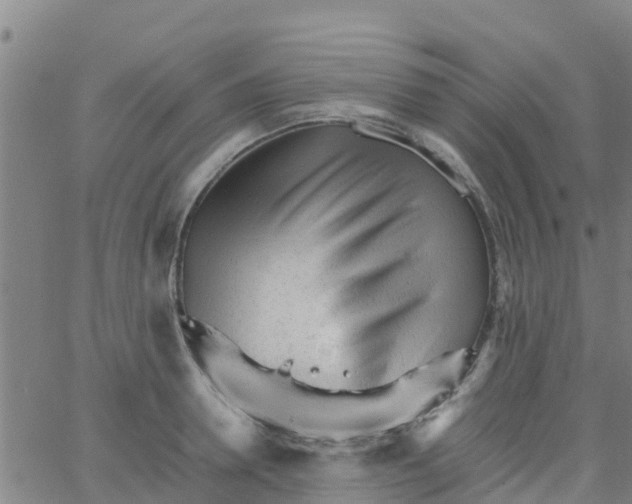 X0000066080946200603311932